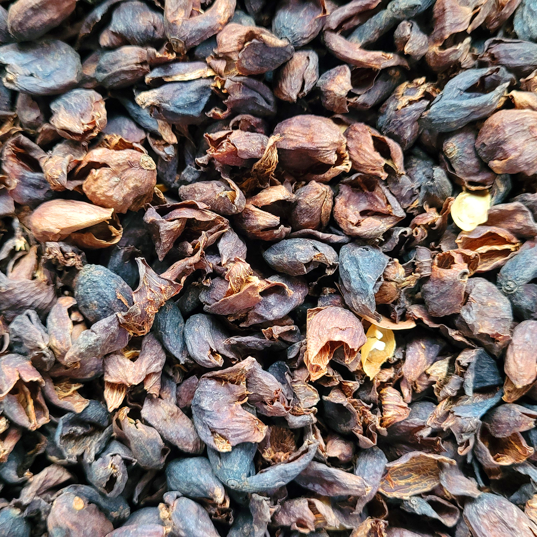 Cascara - Kaffeekirschen