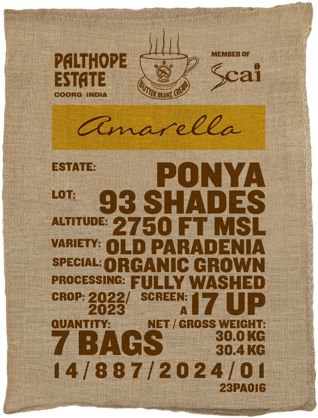 93 Shades, Old Paradenia