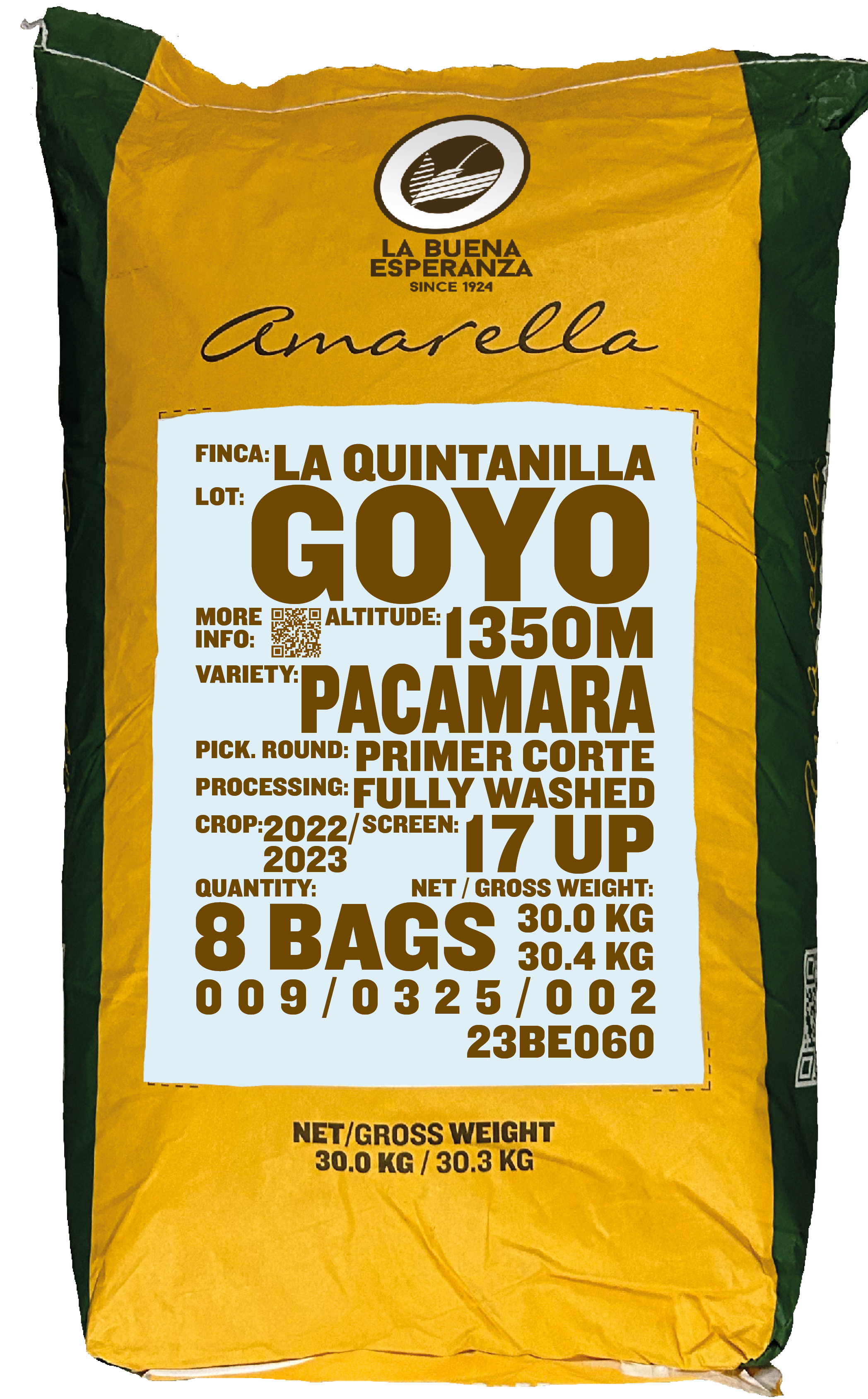 Goyo, Pacamara