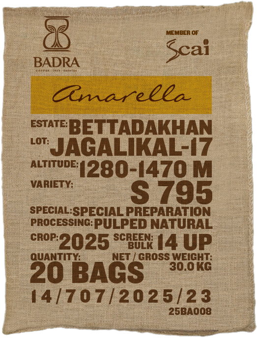 Jagalikal-17, S795/ Jember