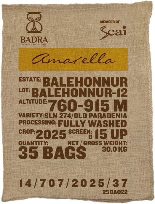 Balehonnur, SLN 274 / Old Paradenia