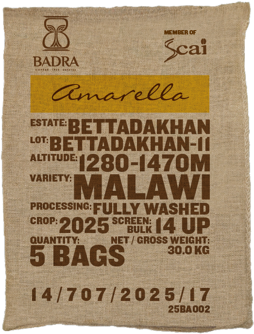 Bettadakhan-11, Malawi