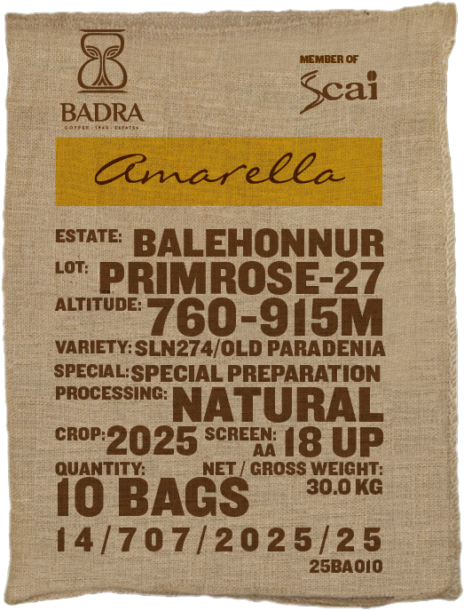 Primrose -27, SLN274/Old Paradenia