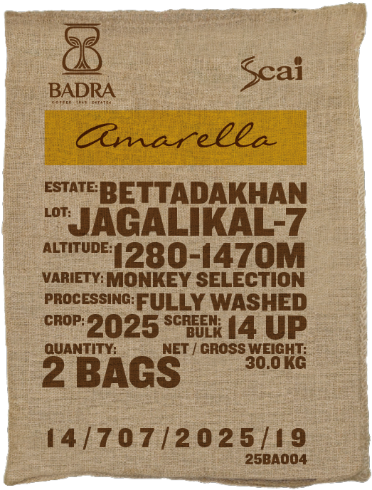 Jagalikal-7, Monkey Selection