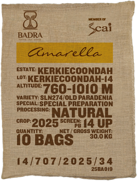 Kerkiecoondah-14, SLN 274 / Old Paradenia